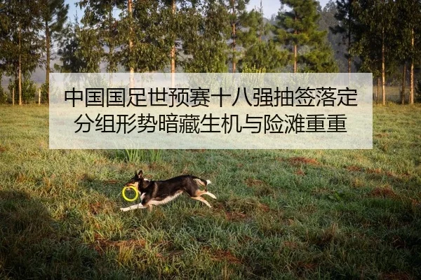中国国足世预赛十八强抽签落定 分组形势暗藏生机与险滩重重